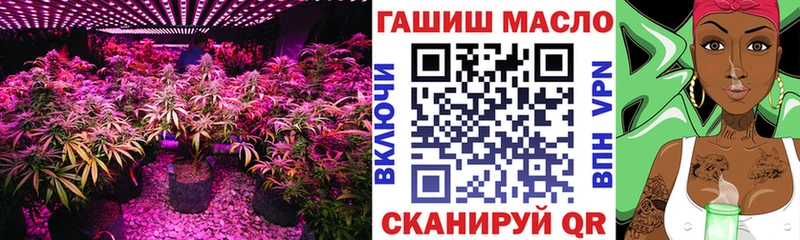 ТГК вейп с тгк  Купить закладки  Валдай 