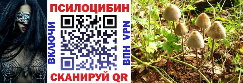 Псилоцибиновые грибы мухоморы  Купить закладки  Валдай 